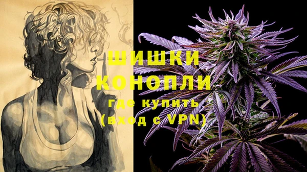 МДПВ Нея