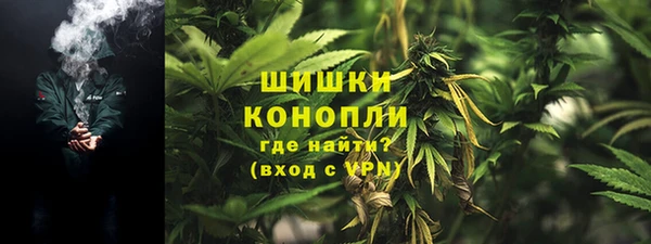 МДПВ Нея