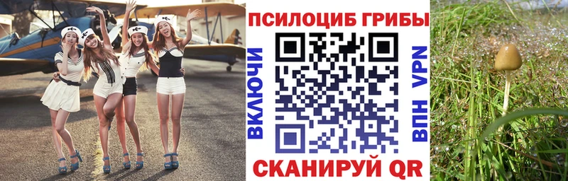 OMG ССЫЛКА  Качканар  Галлюциногенные грибы Magic Shrooms 