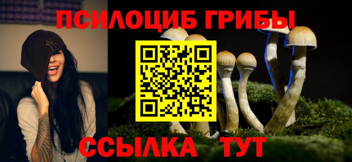 Качканар  Псилоцибиновые грибы прущие грибы  Вход с VPN 
