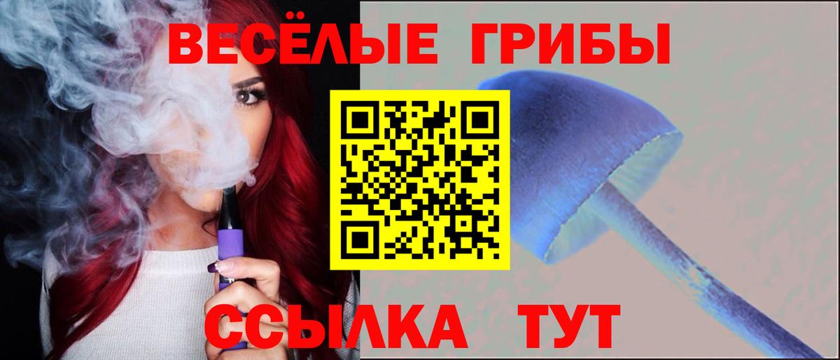 Качканар  Гашиш  NBOMe  А ПВП  Ляпка  Метамфетамин  Вход с VPN  Кокаин  Марихуана  MDMA  Мяу-Мяу  Лсд 25 